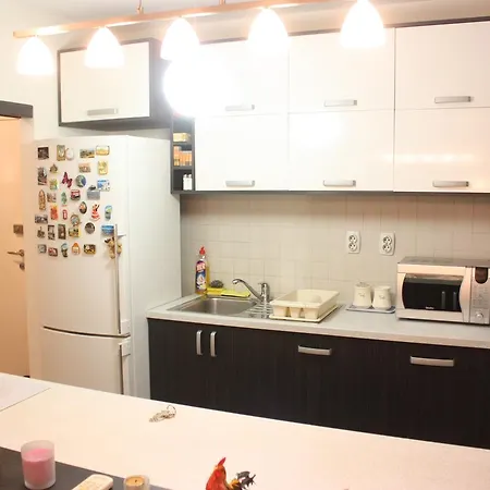 Apartment Purple Rain